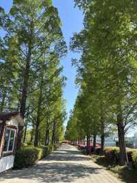 【釜山】テヒョンが訪れた場所🌳釜山市民公園