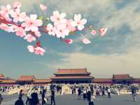 Walking Through Imperial Echoes – Forbidden City