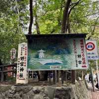🇯🇵【京都】パワースポット！野宮神社！良縁、子宝、学問の神様♪(^^)