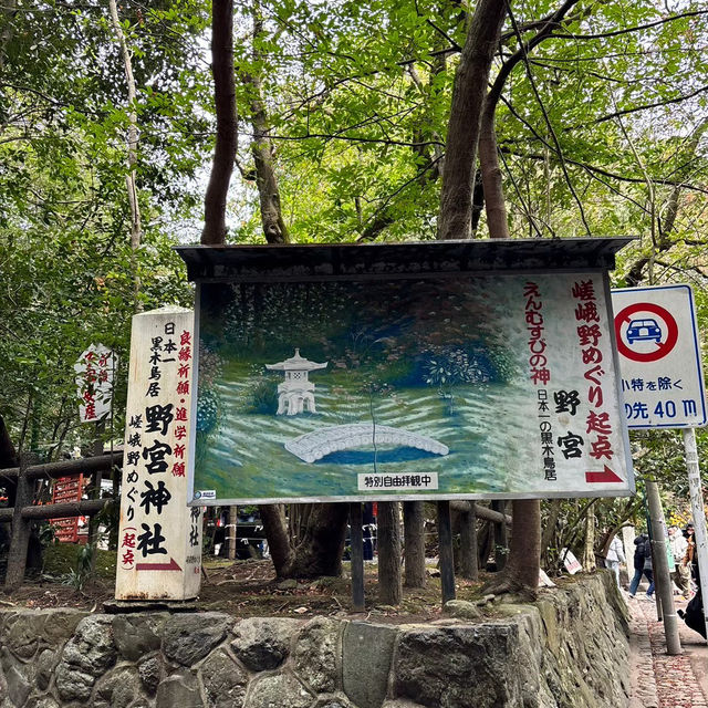 🇯🇵【京都】パワースポット！野宮神社！良縁、子宝、学問の神様♪(^^)