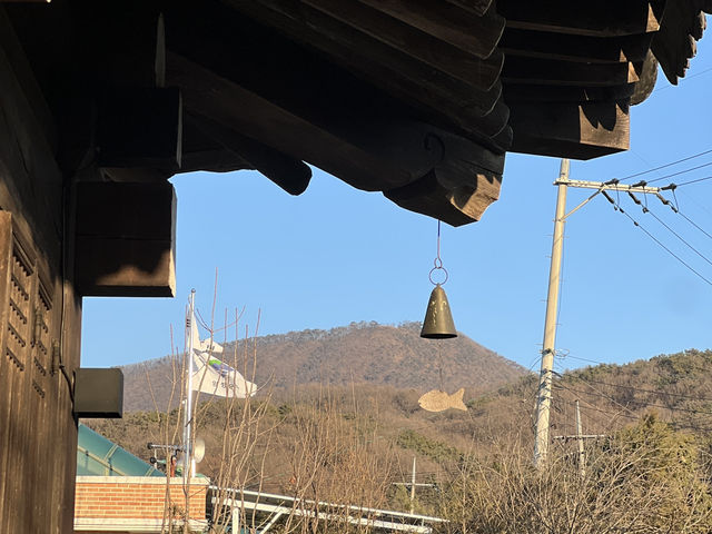 🌿 “오후 다섯시, 시간도 마음도 잠시 멈추는 곳”