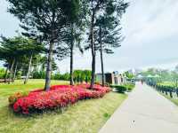 A Plaza for Every Pace