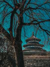  A Walk Through Harmony: Spring Reflections at Temple of Heaven Park