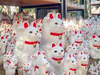 วัดโกโทคุจิ (Gotokuji Temple)