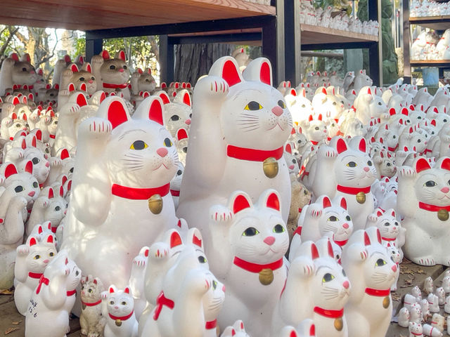 วัดโกโทคุจิ (Gotokuji Temple)