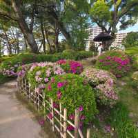 Shukkeien Garden: A Blossoming Oasis in Hiroshima