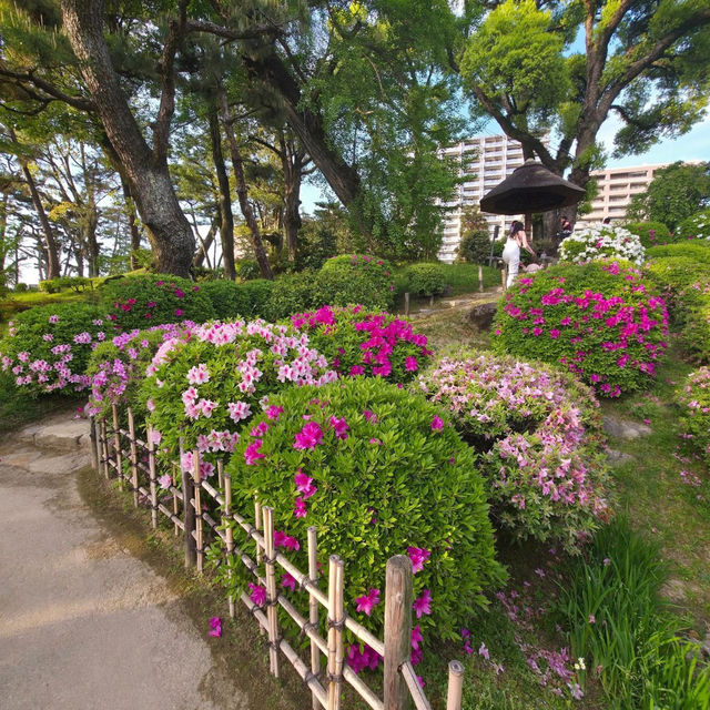 Shukkeien Garden: A Blossoming Oasis in Hiroshima