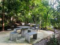 บ้านในหมง treehouse ระนอง