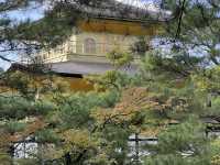 Kinkaku-ji: Kyoto’s Golden Jewel Among Zen Temples
