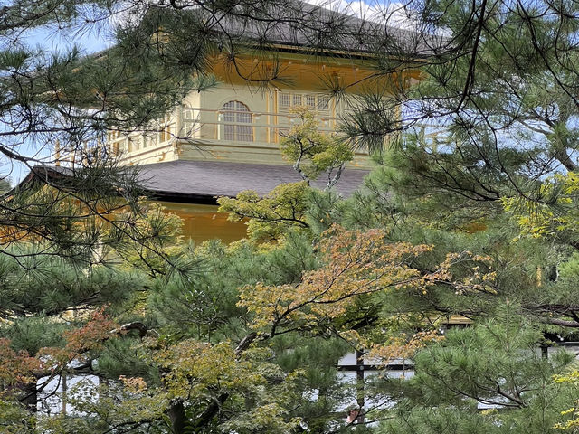 Kinkaku-ji: Kyoto’s Golden Jewel Among Zen Temples