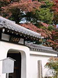 A Day in Arashiyama: Kimono Strolls, Temple Serenity & Tofu Delights🍃