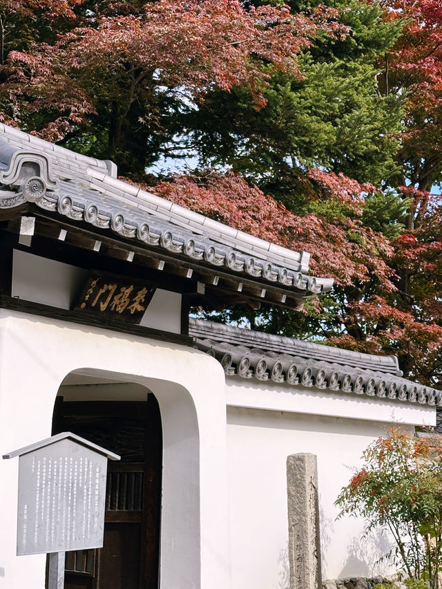 A Day in Arashiyama: Kimono Strolls, Temple Serenity & Tofu Delights🍃