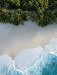 Fuvahmulah 虎鯊島怎麼玩