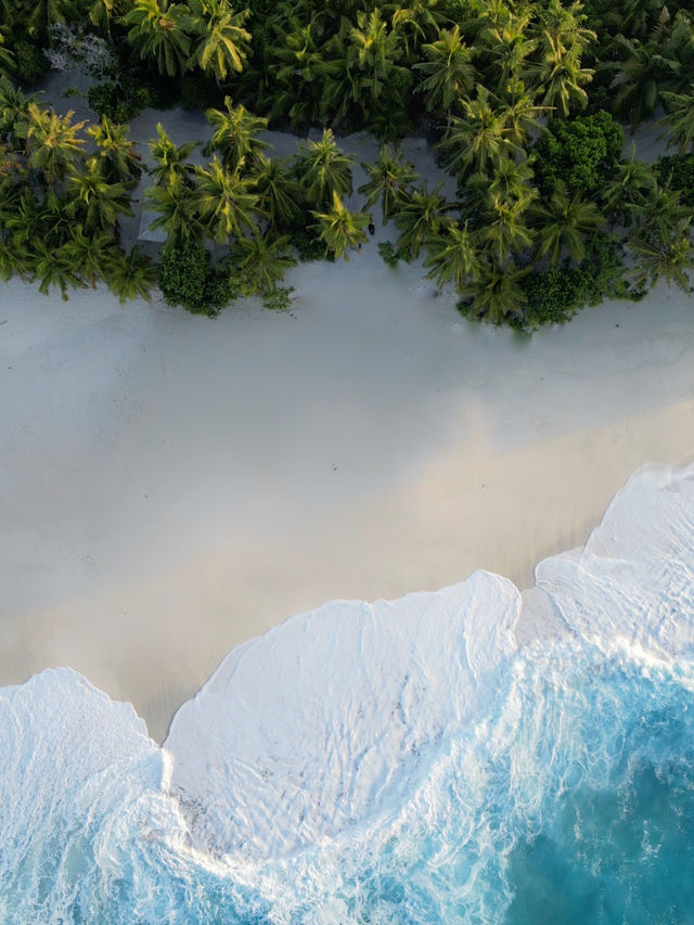 Fuvahmulah 虎鯊島怎麼玩