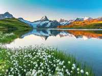 Enjoy the beauty of the alpine Bachalpsee, Switzerland!