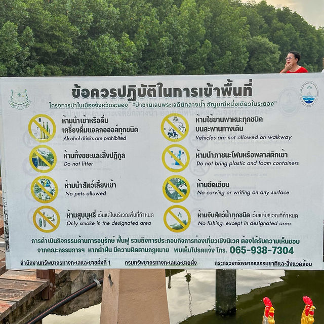 เดิน🚶ชิล ธรรมชาติ @ป่าในเมืองระยอง