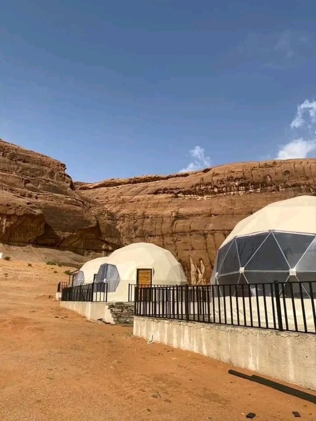 April Blooms in the Red Desert