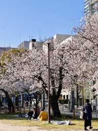 Five Minutes from the Crowd, a World Away in Bloom