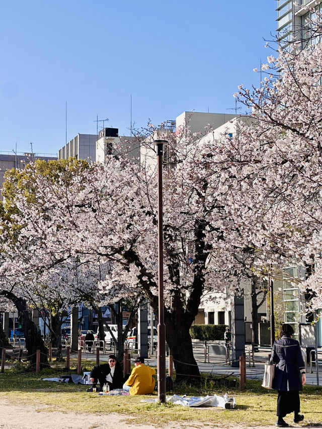 Five Minutes from the Crowd, a World Away in Bloom