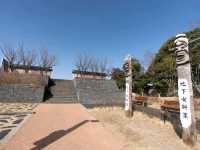 Tranquility by the Water: A Stroll Through Seoho Park
