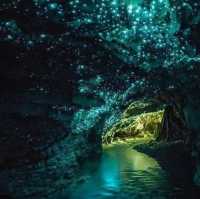 Waitomo Glowworm Caves – A Magical Underground Wonder 