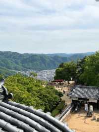 Bitchu Matsuyama Castle