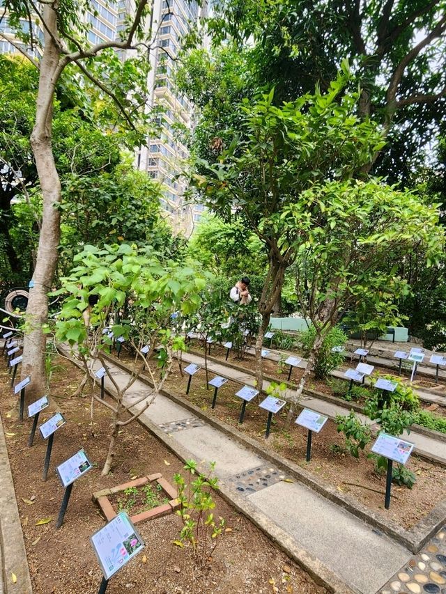 澳門親子景點🦝澳門大熊貓館  |免費參觀| 澳門親子景點🦝澳門大熊貓館  |免費參觀|