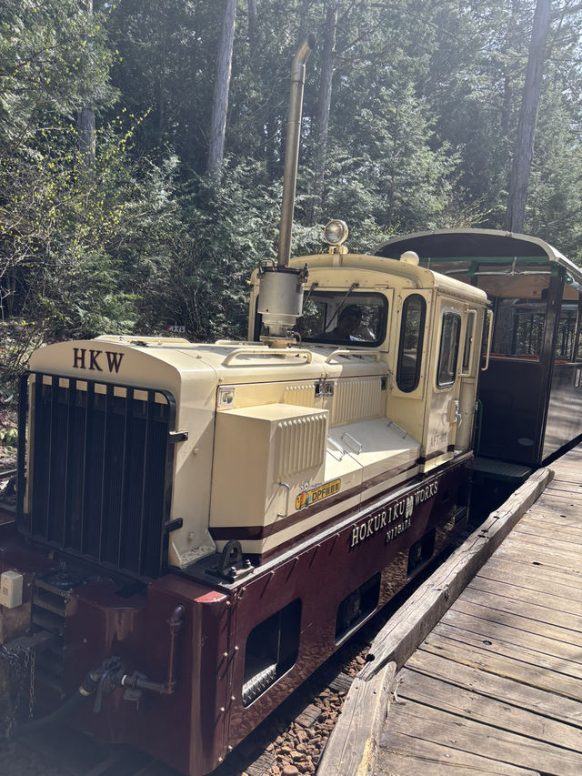 片道、約25分間のトロッコ旅ー❤️