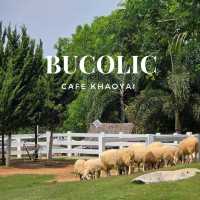 Bucolic คาเฟ่ background ภูเขาที่ใครๆก็ต้องมา