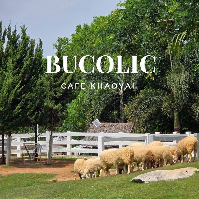 Bucolic คาเฟ่ background ภูเขาที่ใครๆก็ต้องมา