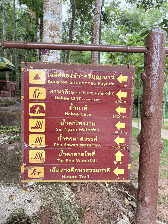 ถ้ำนาคี อุทยานแห่งชาติภูลังกา