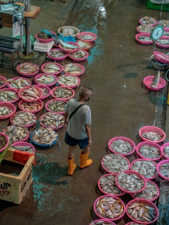 Senoko Fishery Port Singapore