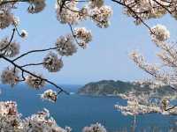 Matsue – The Water City of Legends and Castles