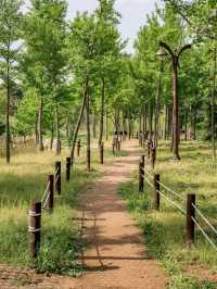 Ihyeon Park, Daegu – A Hidden Gem for Serenity Seekers