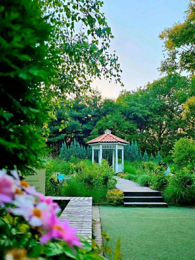 Title: Discover Seoul Forest: A Green Oasis in the Heart of the City