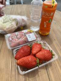 3 Days in Hikone