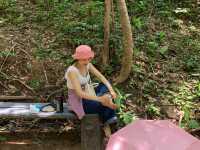 ไปเที่ยวอุทยานแห่งชาติภูเวียงกัน