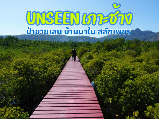 ป่าชายเลน บ้านนาใน สลักเพชร Unseen เกาะช้าง 
