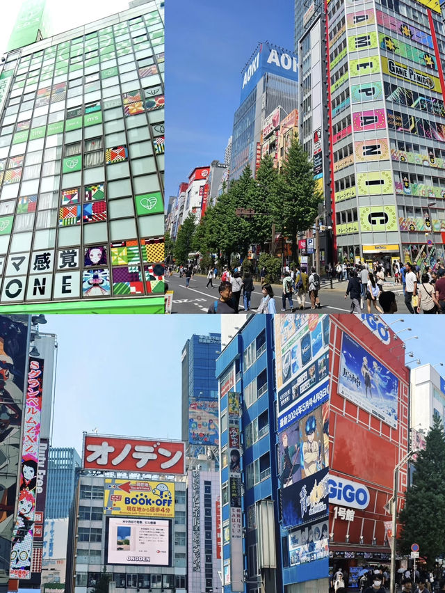 日本動漫迷的天堂💕秋葉原