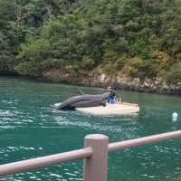 【和歌山】くじらの博物館