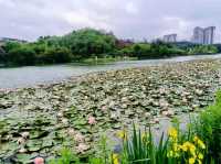 Yueshan Lake Park – Guiyang’s Urban Oasis of Mountains & Water!