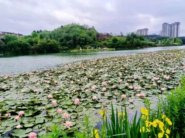 Yueshan Lake Park – Guiyang’s Urban Oasis of Mountains & Water!