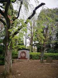 Daytrip to Shiba Park