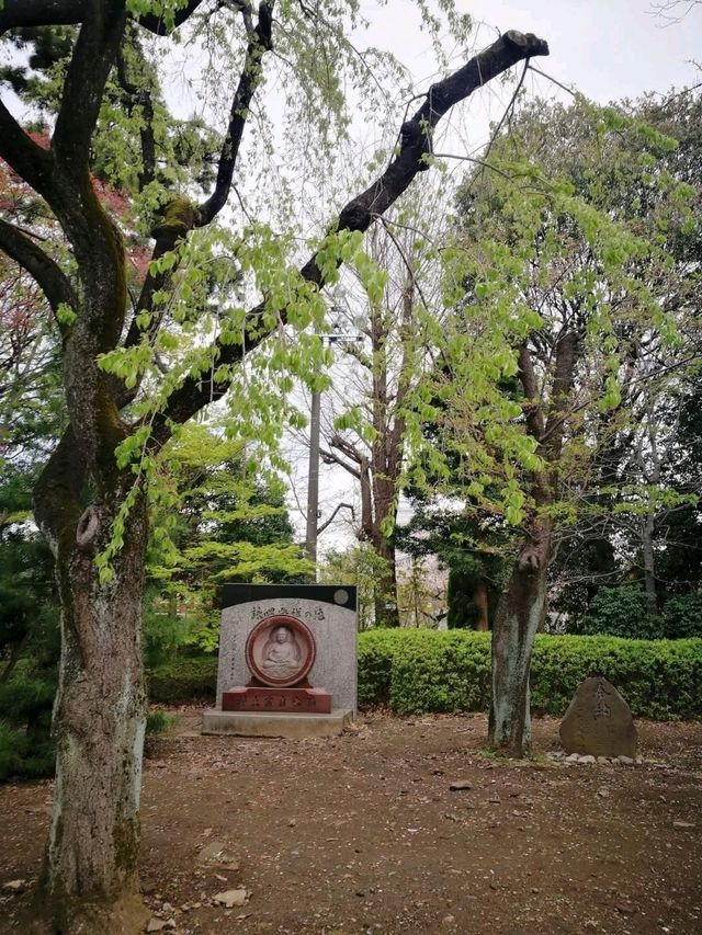 Daytrip to Shiba Park