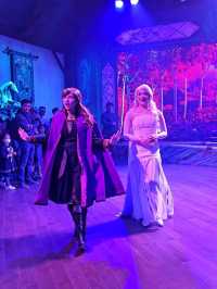 A Magical Day at the World of Frozen