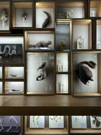 Mundane knowledge made appealing and interesting 