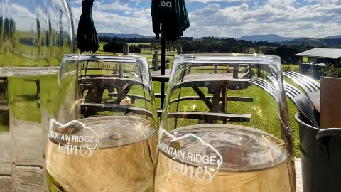 My Autumn Escape at Mountain Ridge Wines, NSW — traveler post in Huskisson