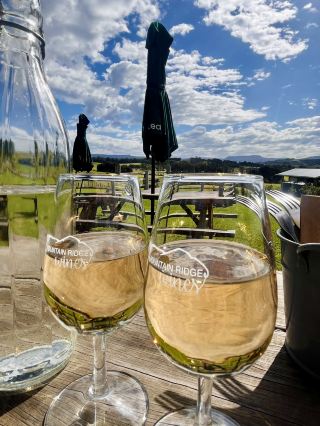 My Autumn Escape at Mountain Ridge Wines, NSW