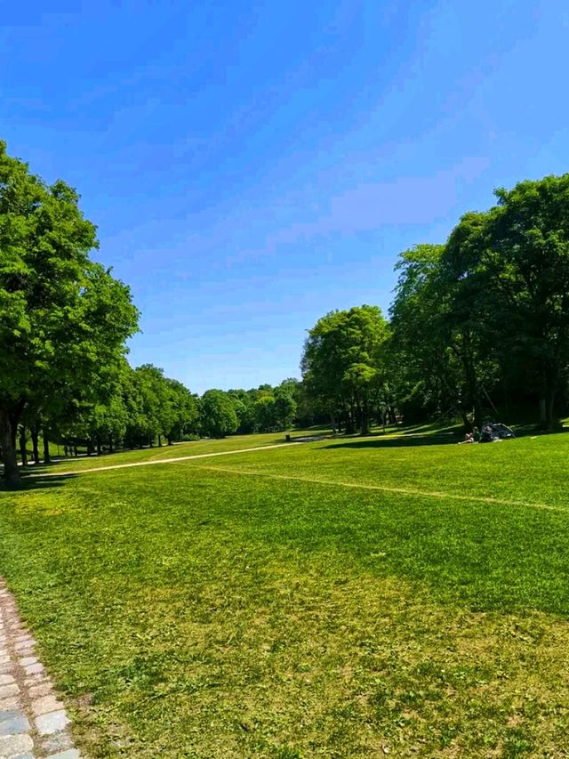Westpark – Munich’s Cultural Garden Escape