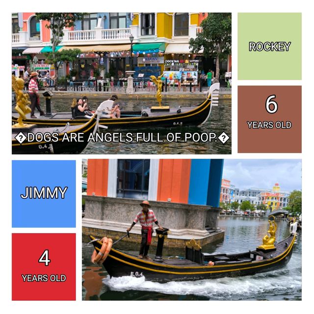 【Gondola Water Taxi】沿岸有瑰麗色彩之排屋可供欣賞！